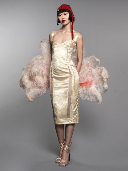 Silk Burlesque Corset Dress